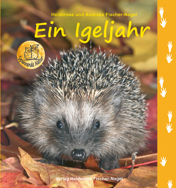 Ein Igeljahr – Cover