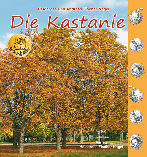 Die Kastanie – Cover