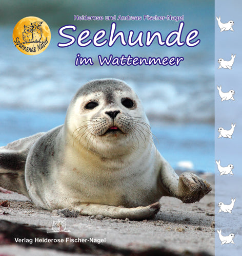 Seehunde im Wattenmeer – Cover