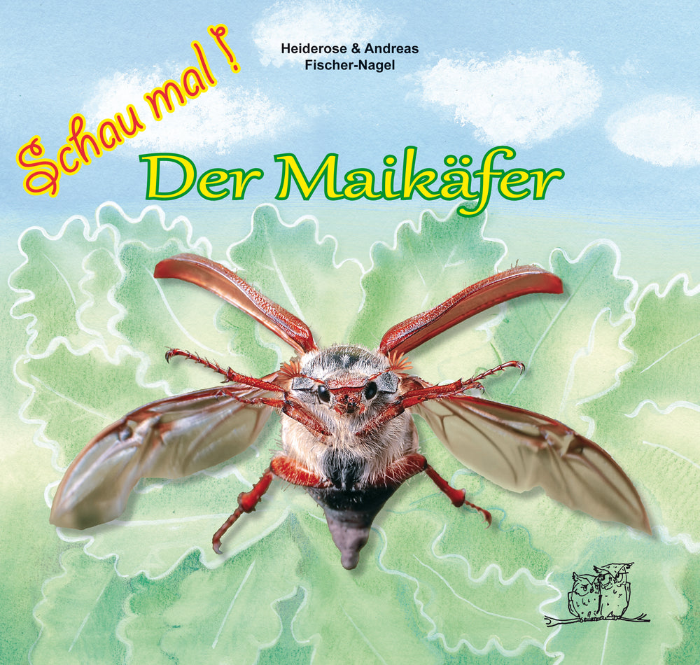 Der Maikäfer - Schau mal! – Cover