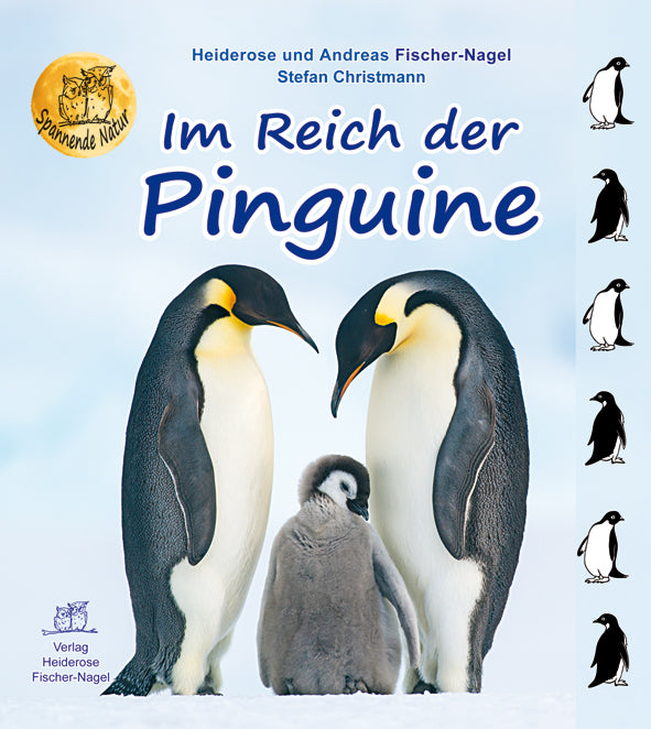 Im Reich der Pinguine – Cover
