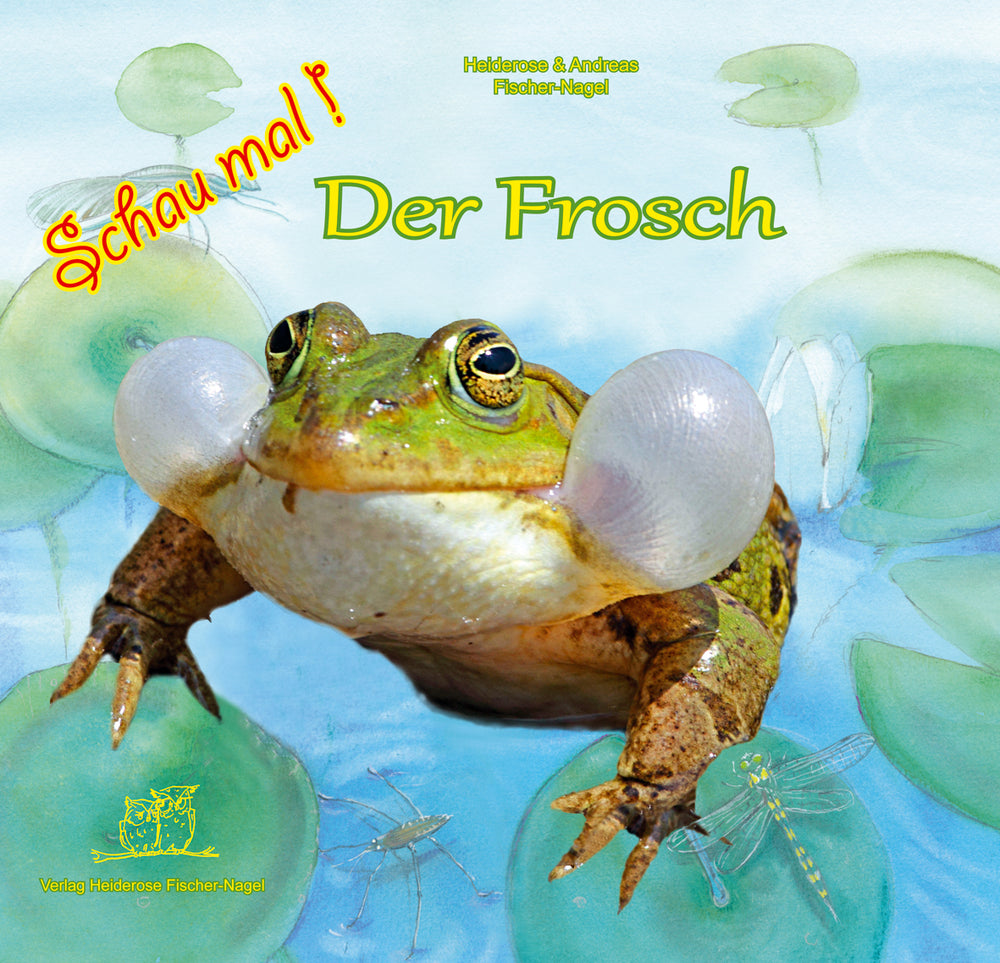 Der Frosch - Schau mal! – Cover
