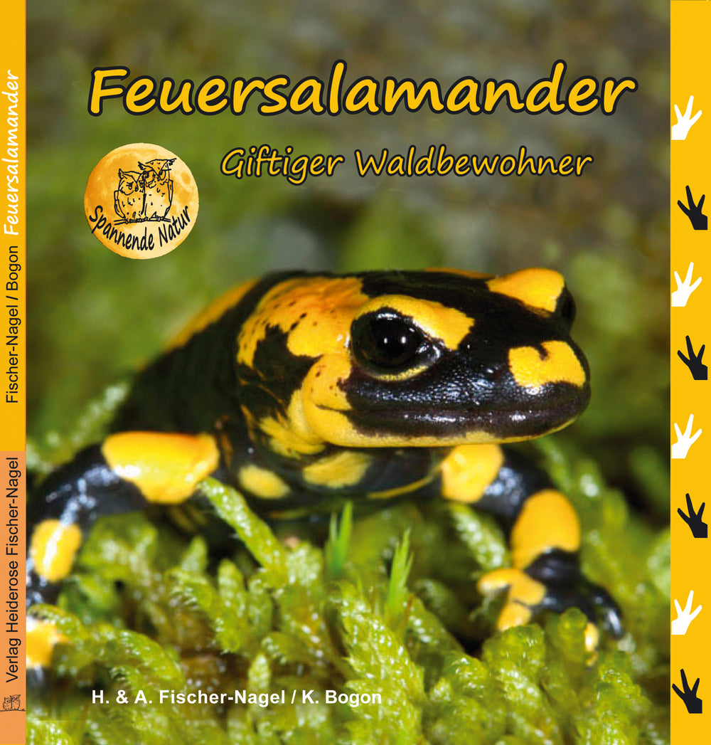 Feuersalamander – Cover