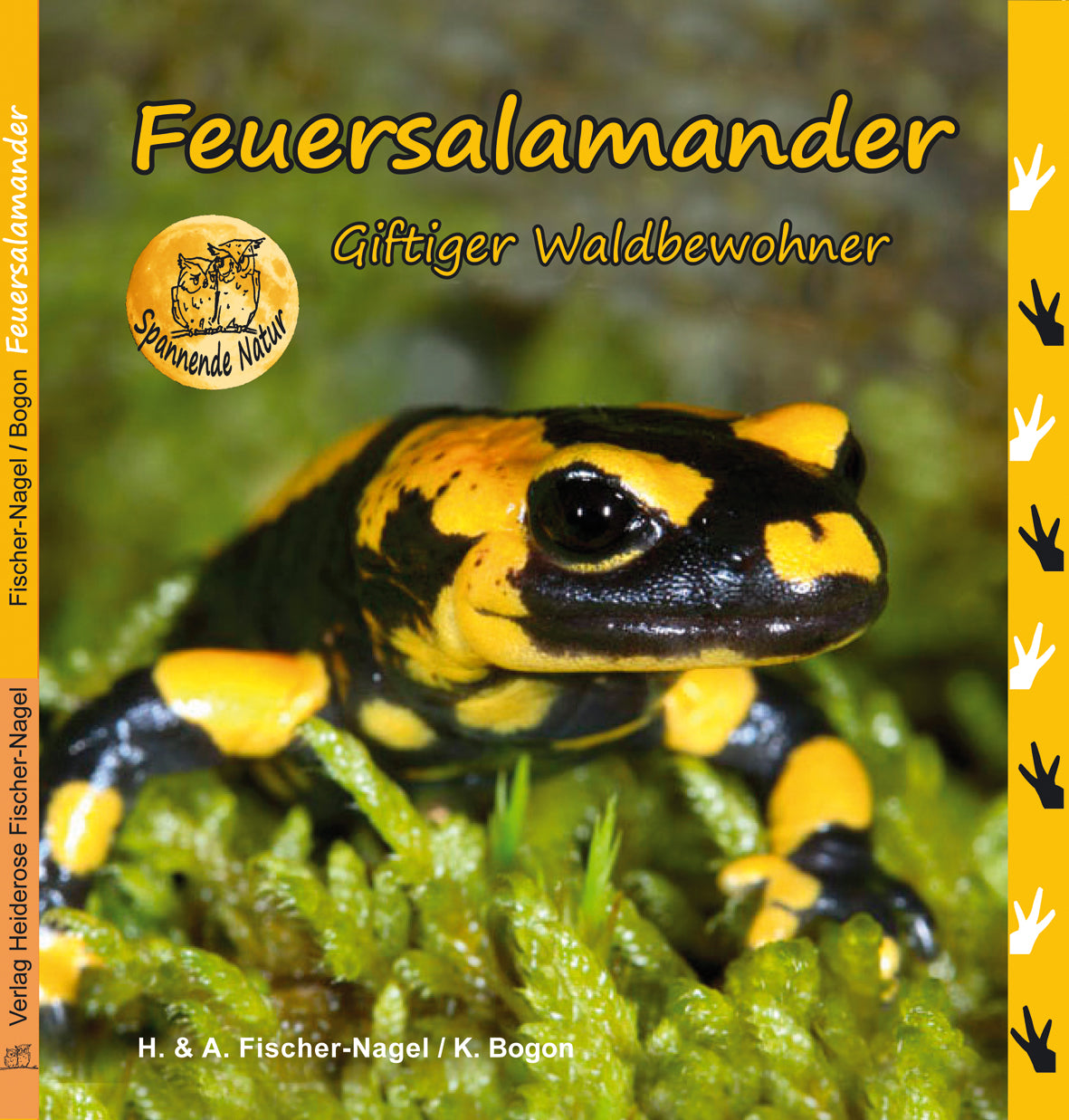 Feuersalamander – Cover