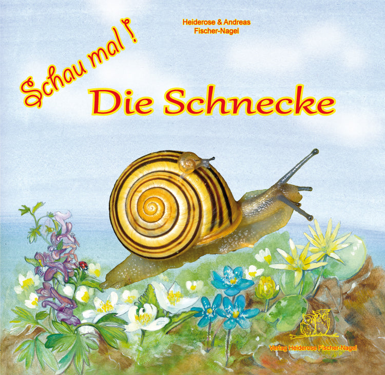 Die Schnecke - Schau mal! – Cover