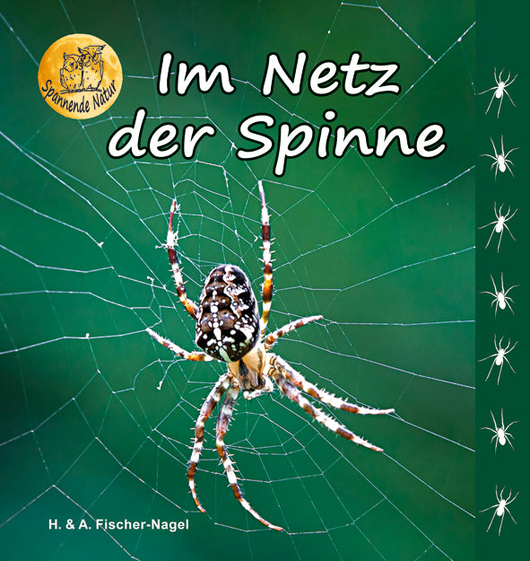 Im Netz der Spinne – Cover
