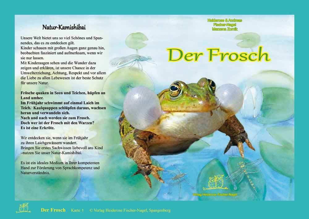 Der Frosch - Bilderkarten fürs Erzähltheater Kamishibai – Cover