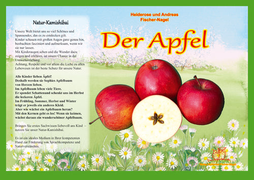 Der Apfel - Bilderkarten fürs Erzähltheater Kamishibai – Cover