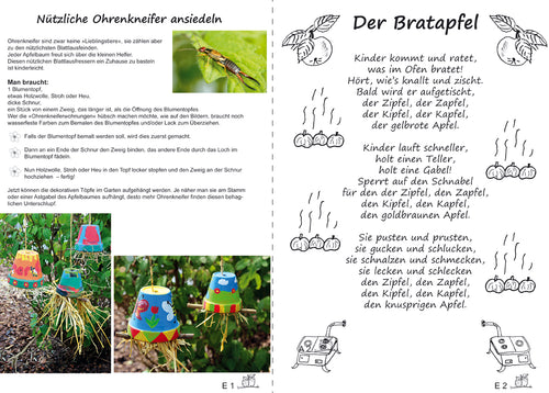 Der Apfel - Bilderkarten fürs Erzähltheater Kamishibai – Beispielkarten