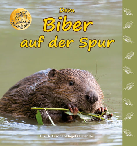 Dem Biber auf der Spur – Cover