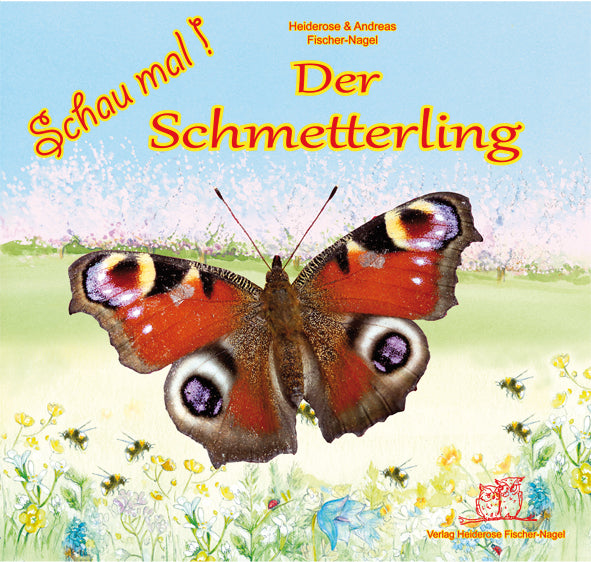 Der Schmetterling - Schau mal! – Cover