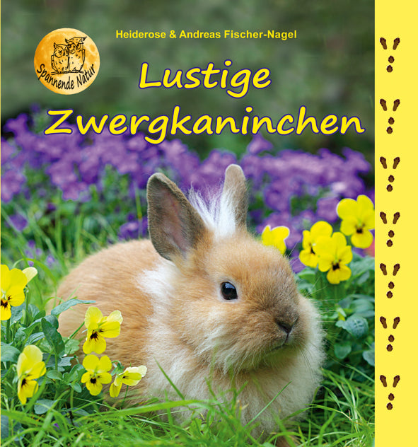 Lustige Zwergkaninchen – Cover