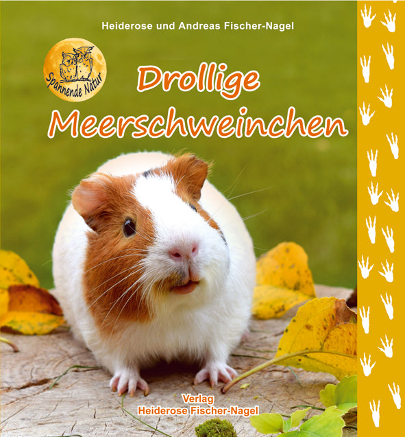 Drollige Meerschweinchen – Cover