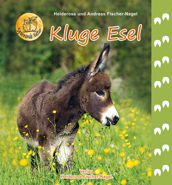 Kluge Esel – Cover