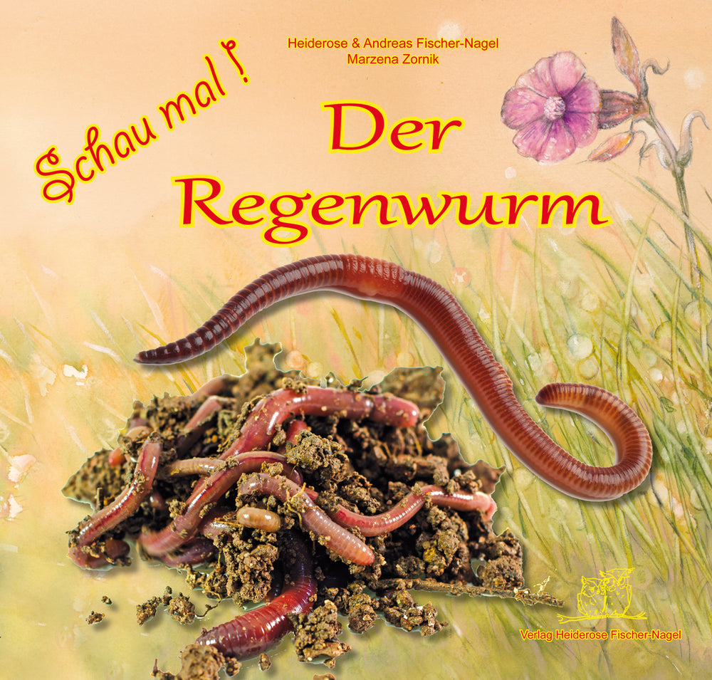 Der Regenwurm - Schau mal! – Cover