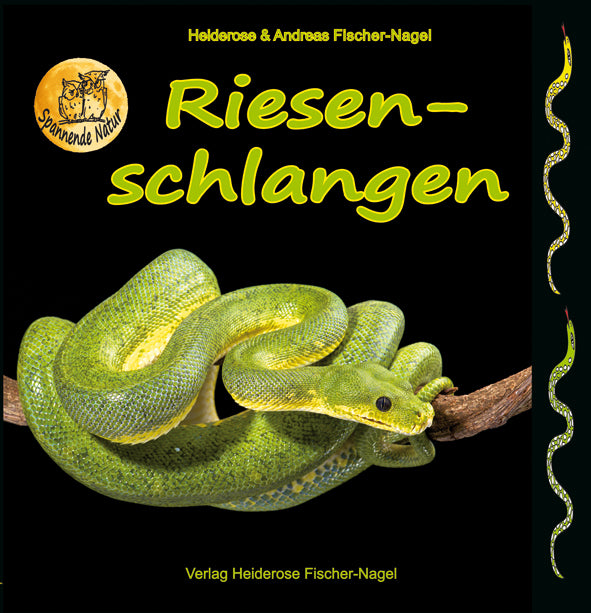 Riesenschlangen – Cover