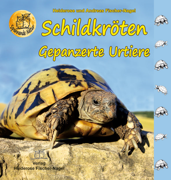 Schildkröte -Gepanzertes Urtier – Cover