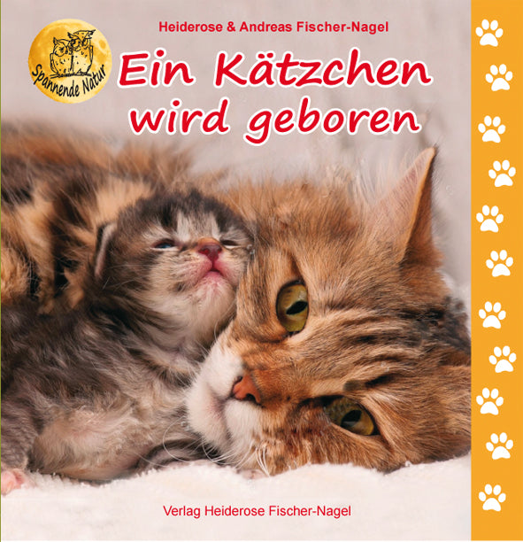 Ein Kätzchen wird geboren – Cover