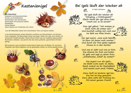 Der Igel - Bilderkarten fürs Erzähltheater Kamishibai – Beispielkarten